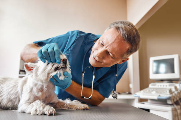 Best Emergency Root Canal Therapy in Gladstone, MO